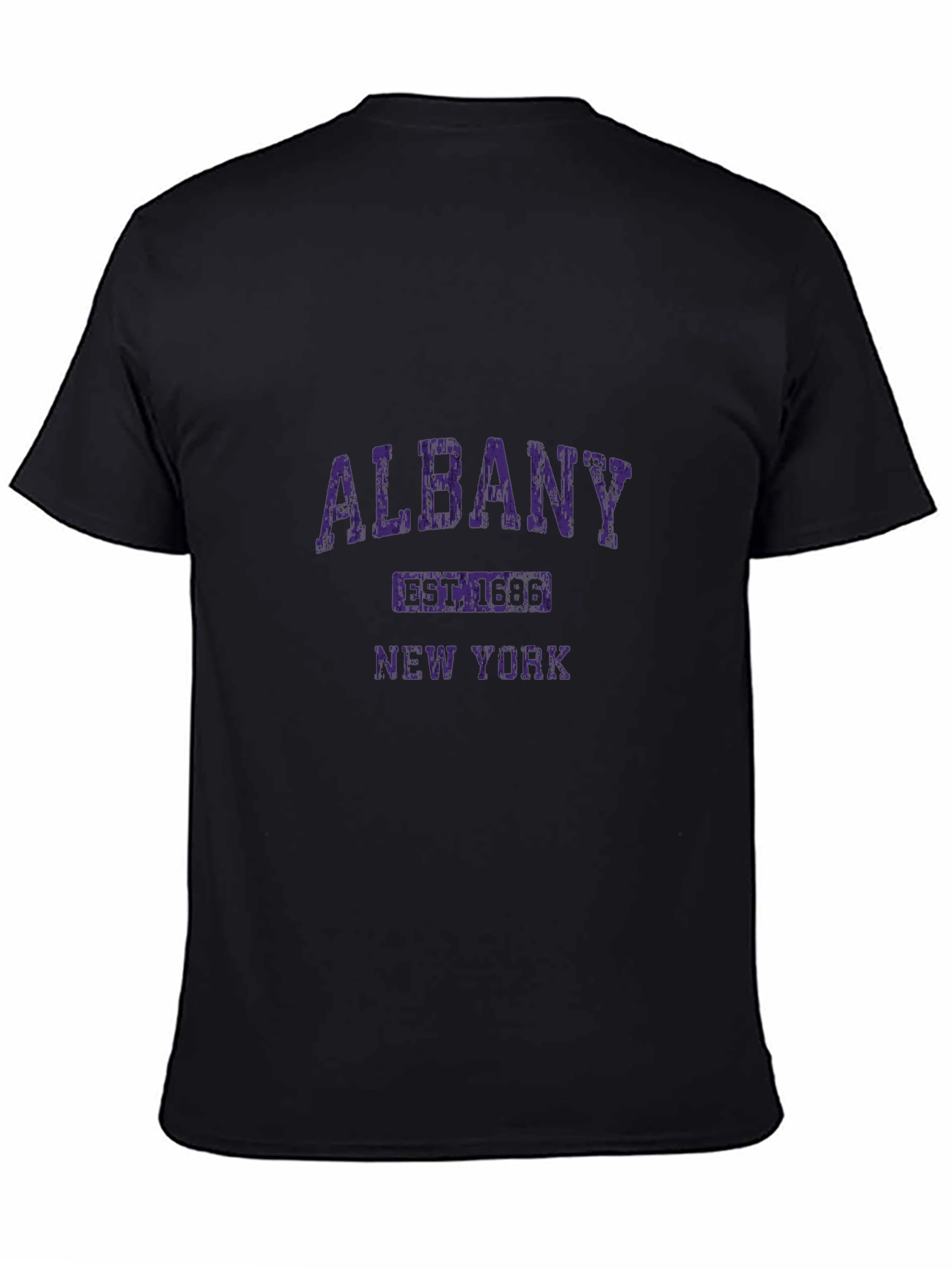 Albany New York Graphic T-Shirt