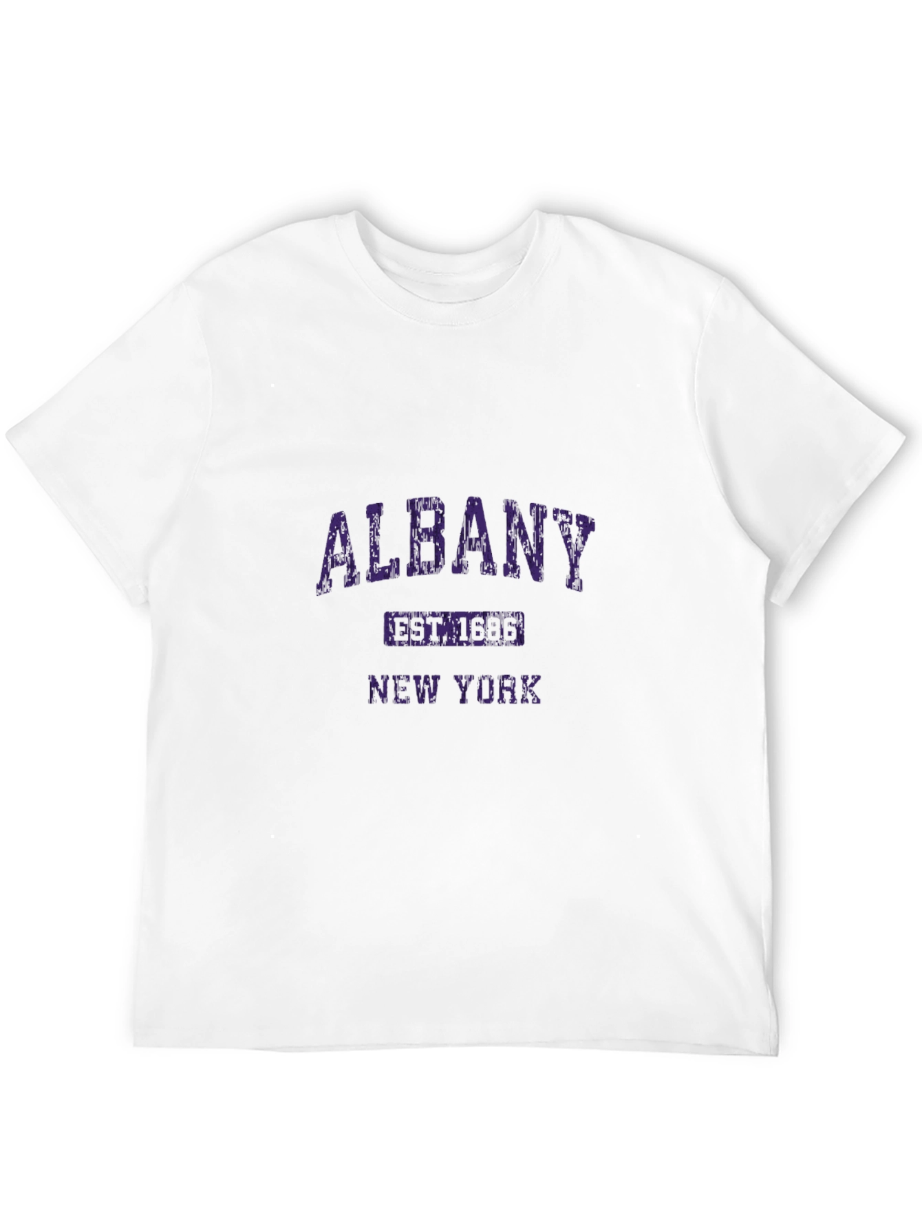 Albany New York Graphic T-Shirt