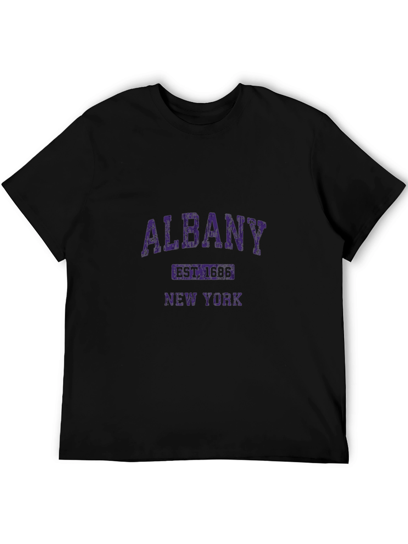 Albany New York Graphic T-Shirt