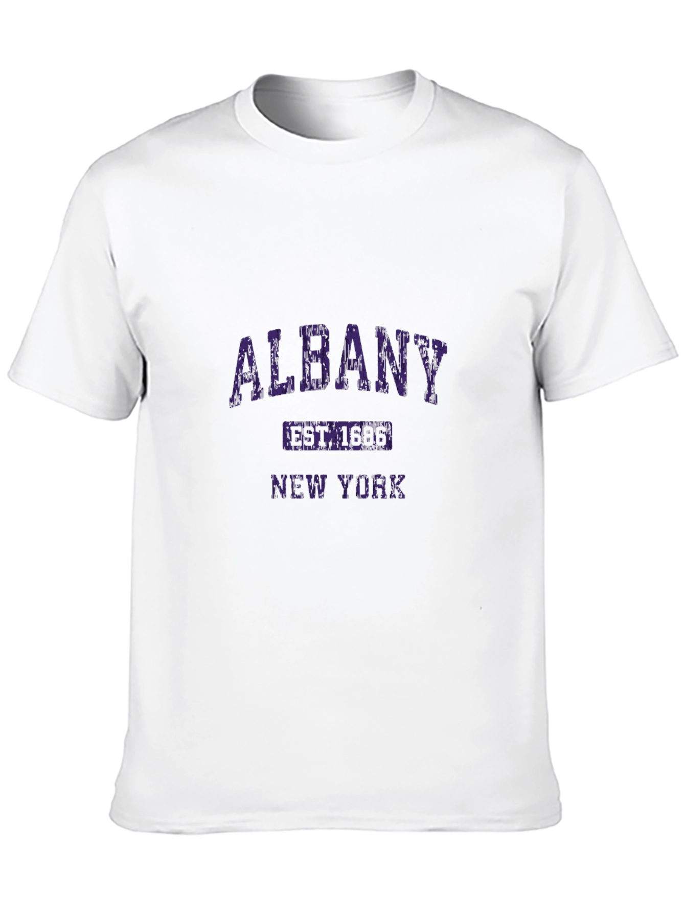 Albany New York Graphic T-Shirt