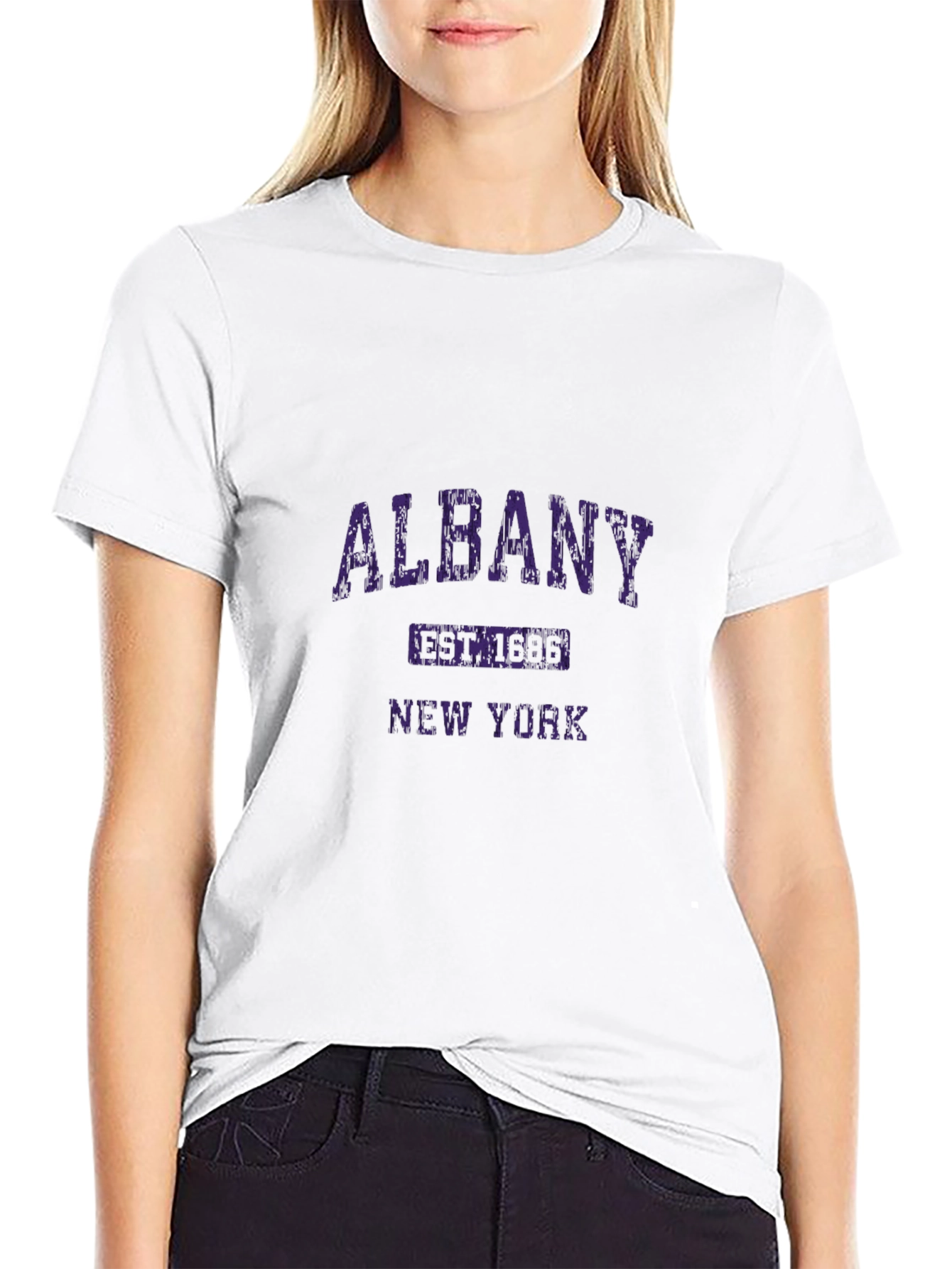 Albany New York Graphic T-Shirt