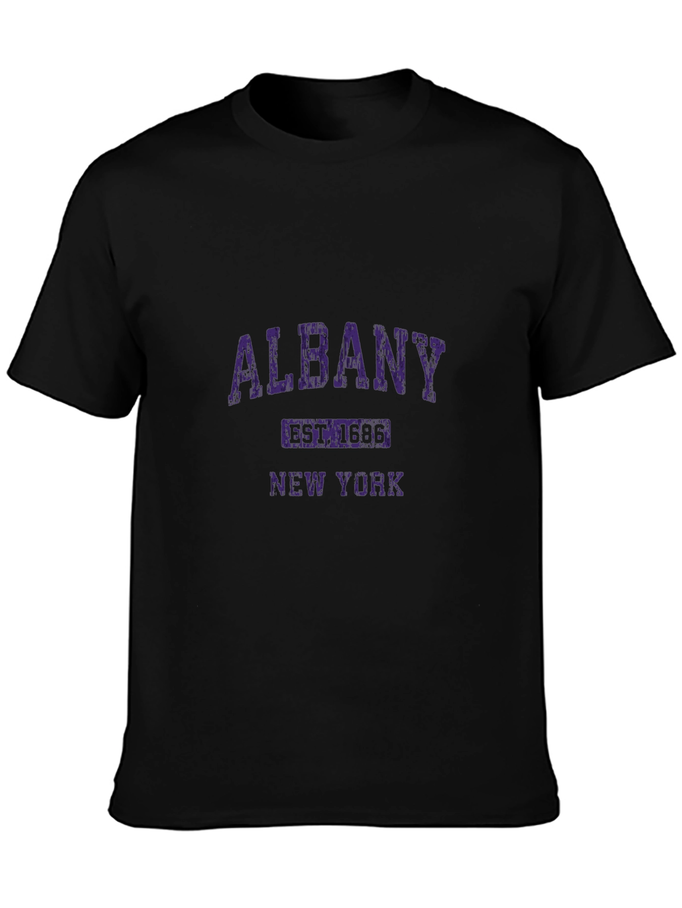 Albany New York Graphic T-Shirt