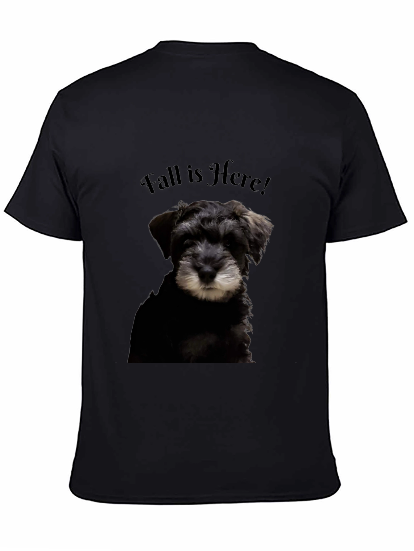 Fall Is Here! Schnauzer Dog Graphic T-Shirt