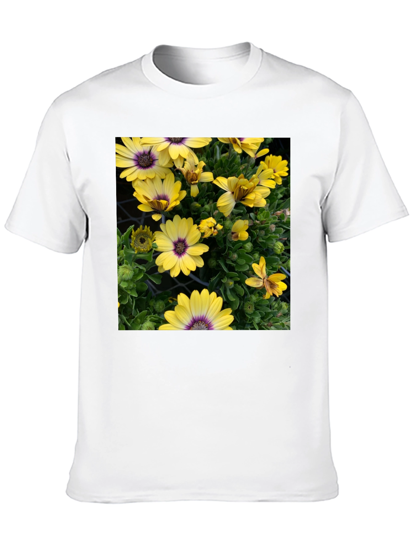 Floral Graphic T-Shirt - Yellow Daisy Print