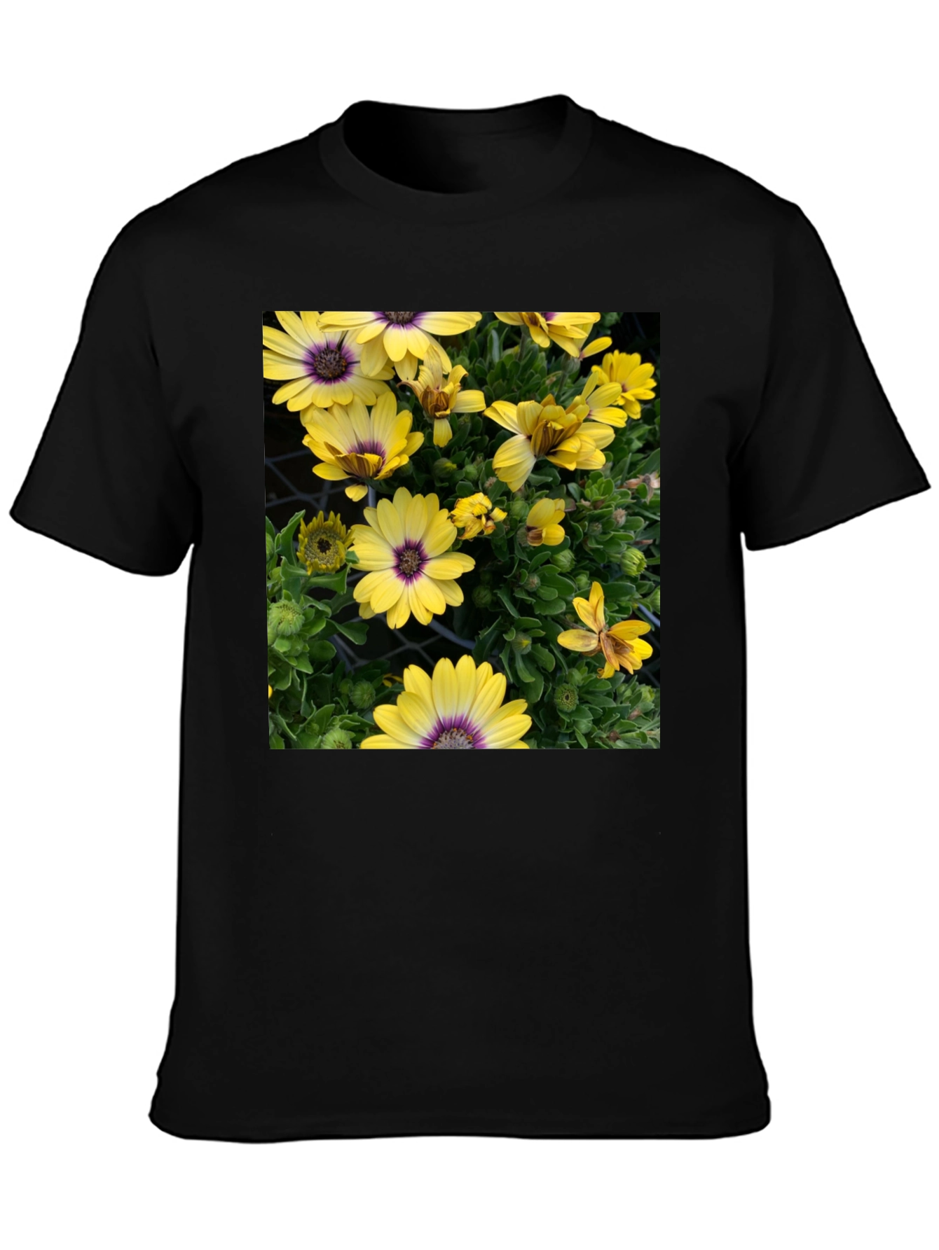 Floral Graphic T-Shirt - Yellow Daisy Print