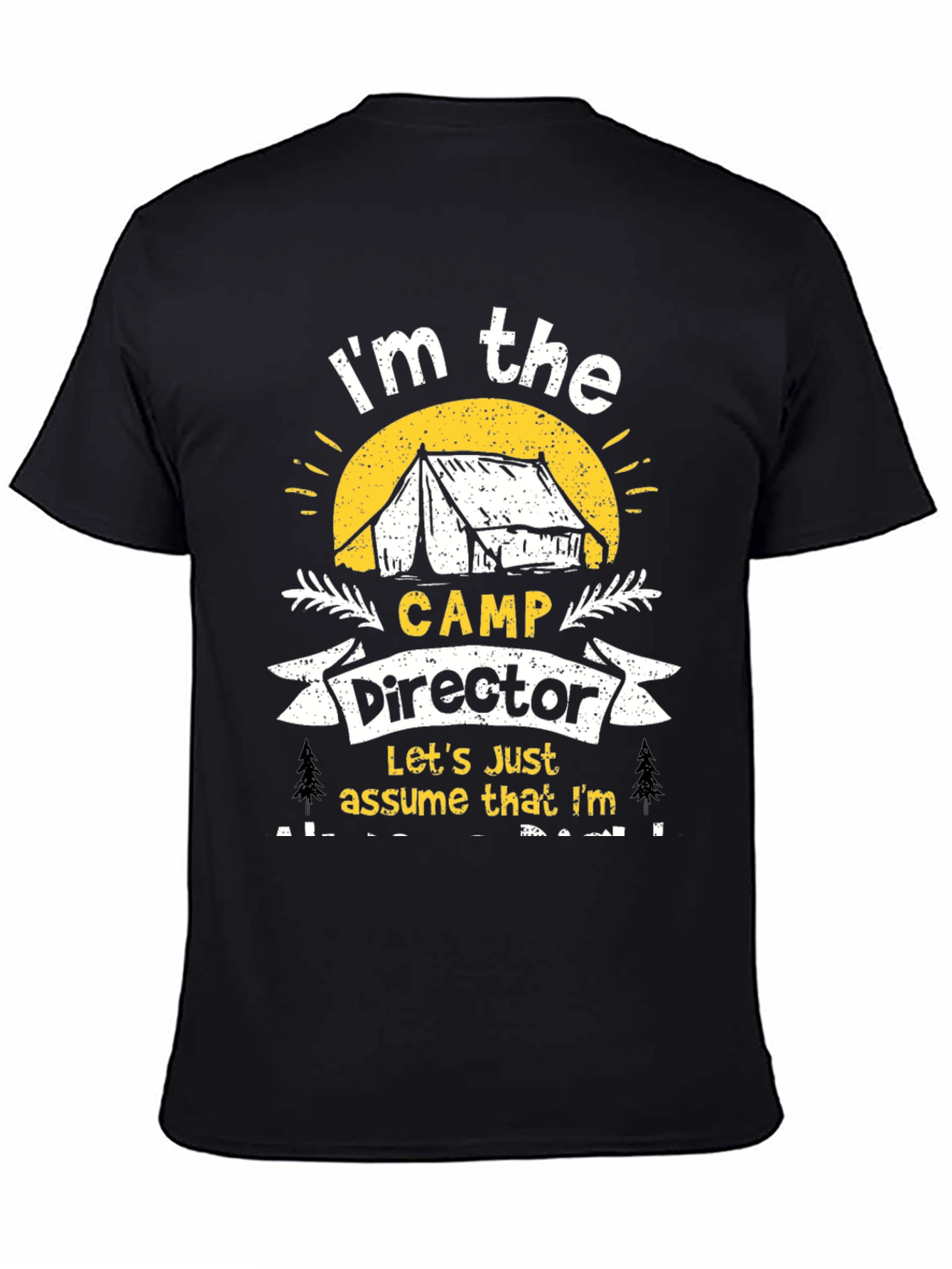 Camp Director Novelty Graphic T-Shirt