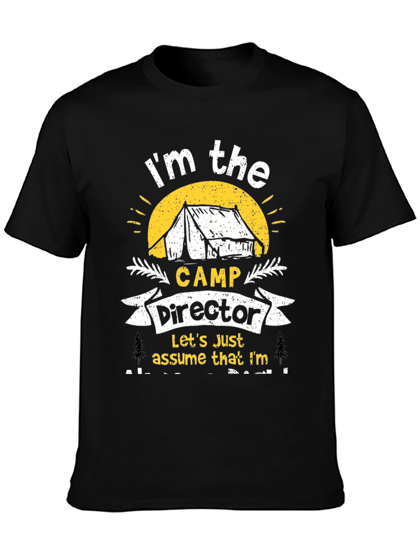 Camp Director Novelty Graphic T-Shirt