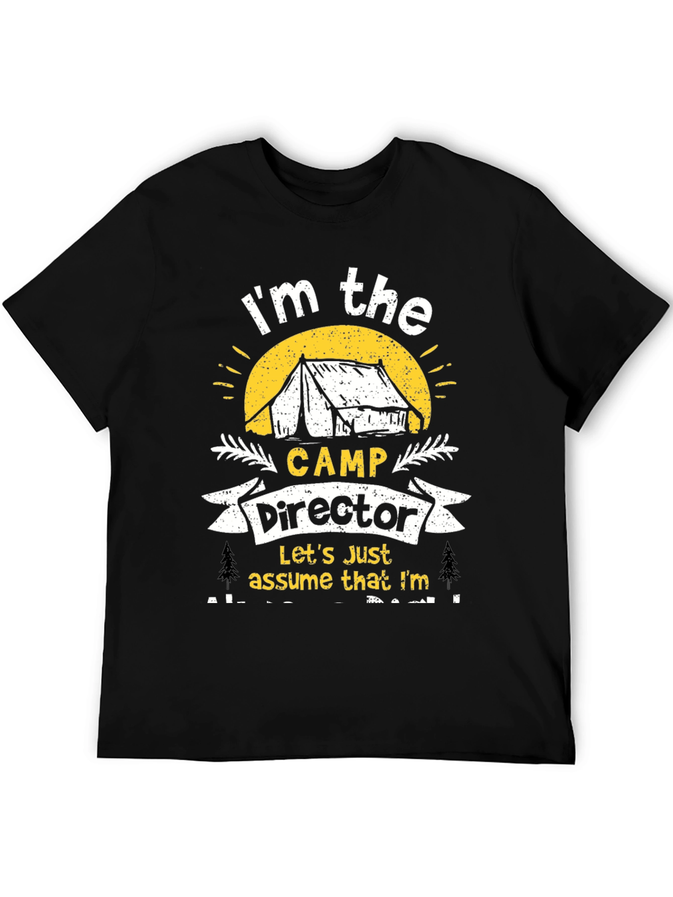 Camp Director Novelty Graphic T-Shirt