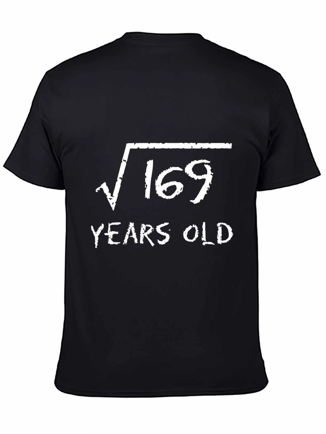 Funny 13th Birthday T-Shirt - Root 169 Years Old