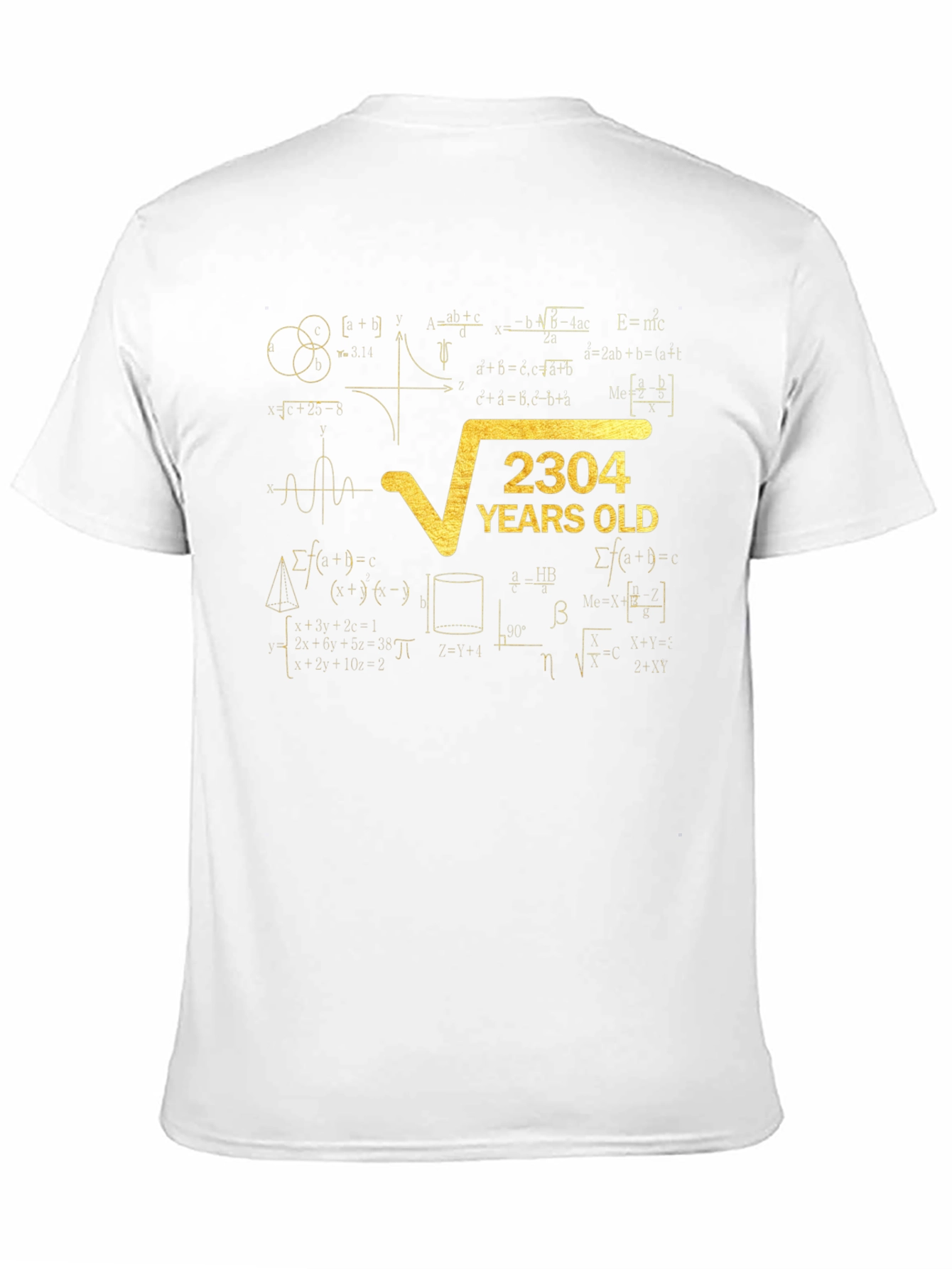 2304 Years Old Math Formula T-Shirt