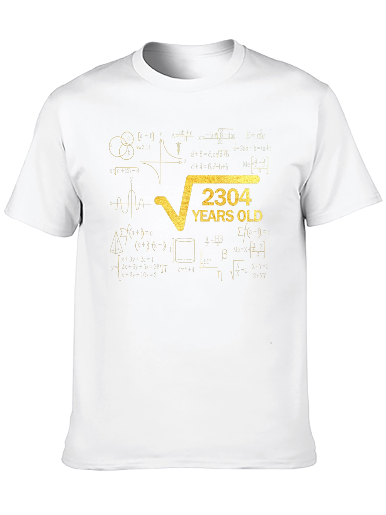 2304 Years Old Math Formula T-Shirt