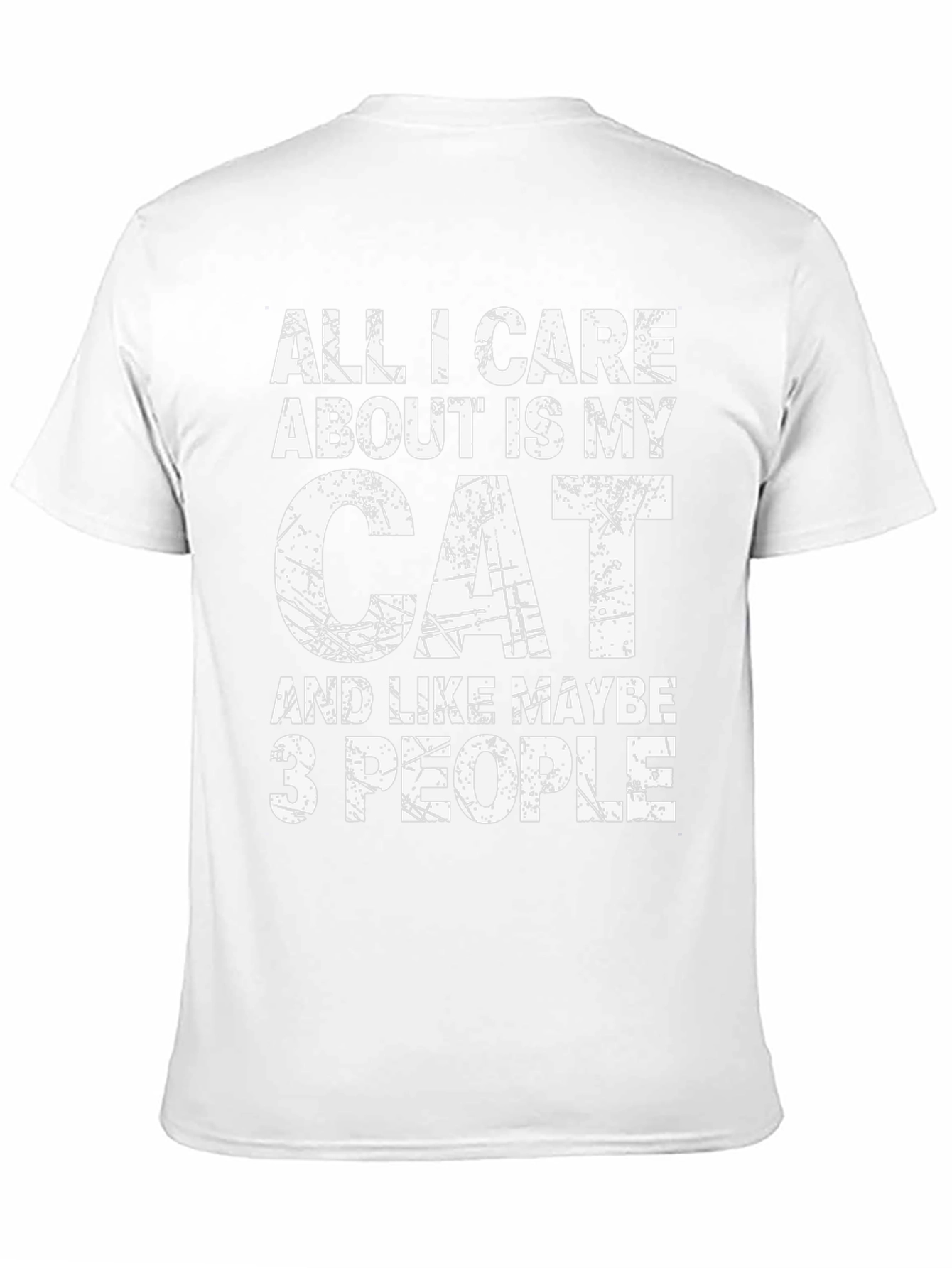 All I Care About Is My Cat T-Shirt