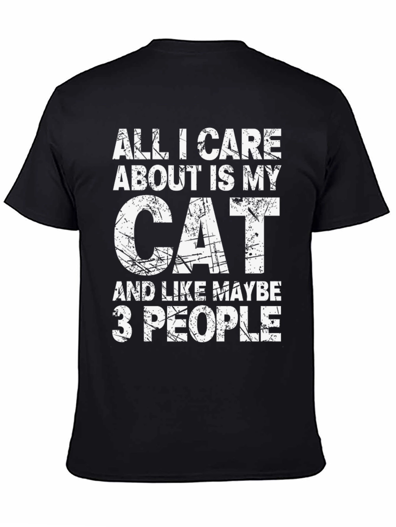 All I Care About Is My Cat T-Shirt