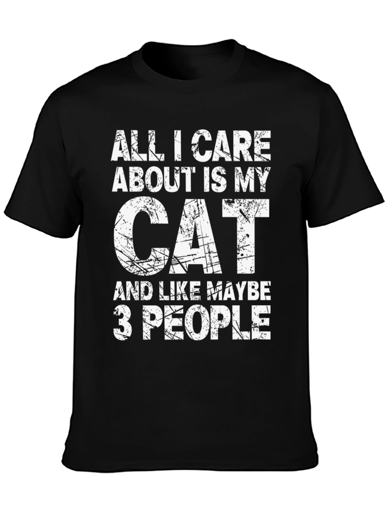 All I Care About Is My Cat T-Shirt