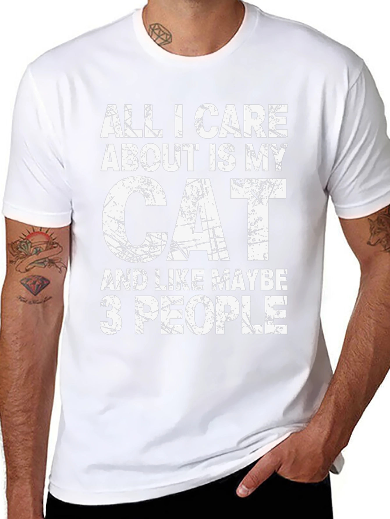 All I Care About Is My Cat T-Shirt