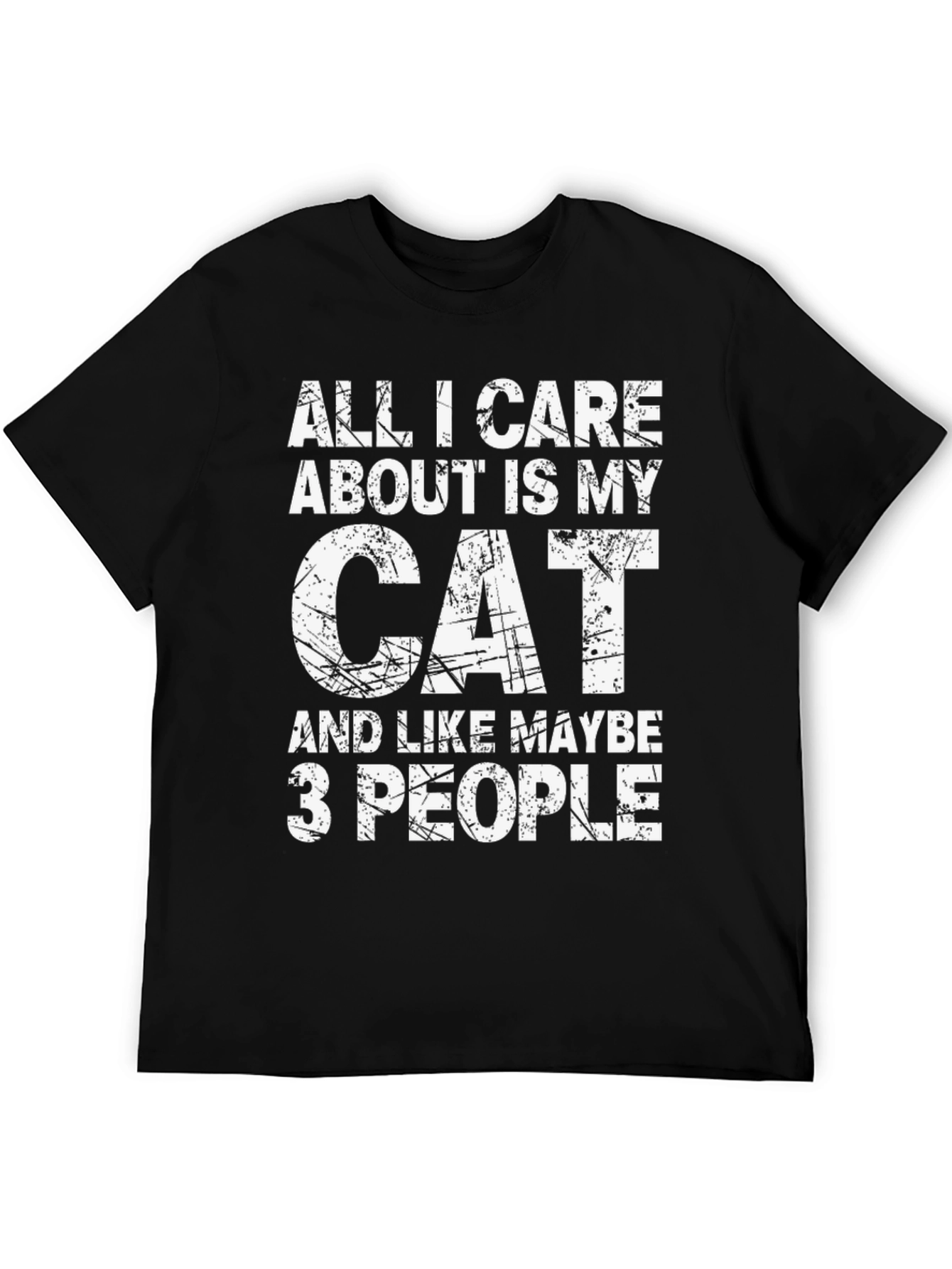 All I Care About Is My Cat T-Shirt