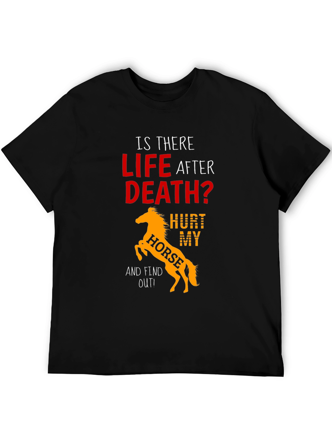 Life After Death? Hurt My Horse Black Tee