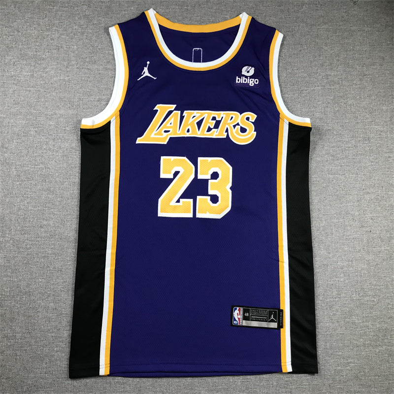 Men's Los Angeles Lakers LeBron James #23 NBA Purple Swingman Jerseys
