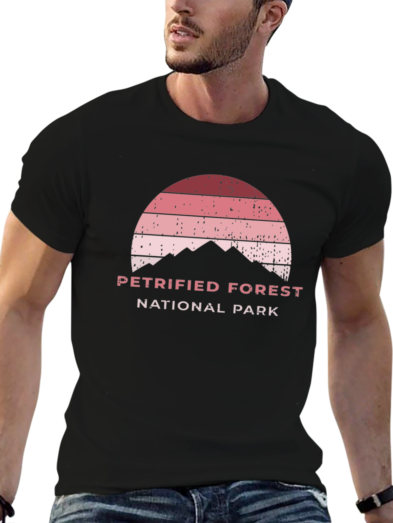 Petrified Forest National Park Black T-Shirt