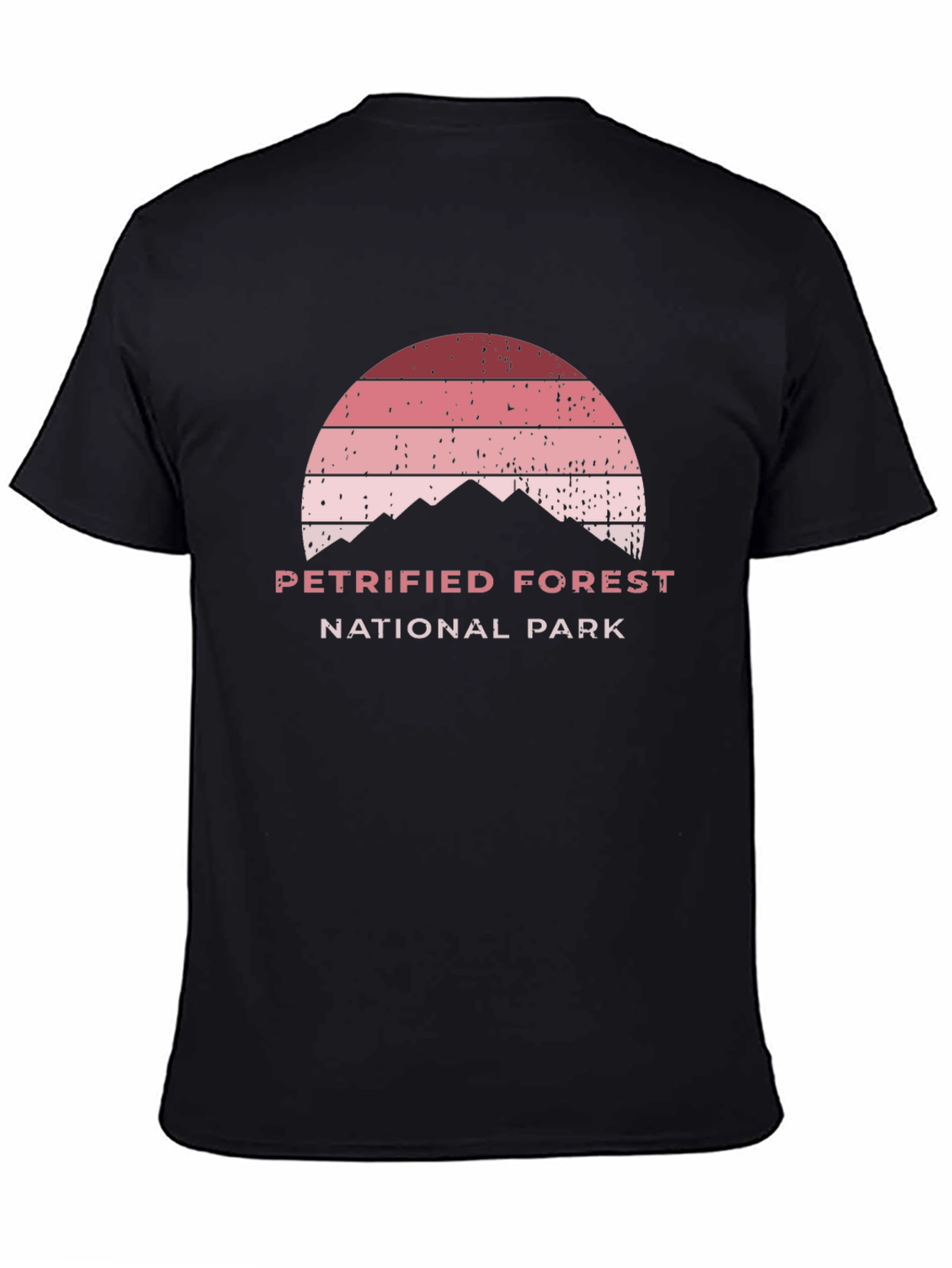 Petrified Forest National Park Black T-Shirt