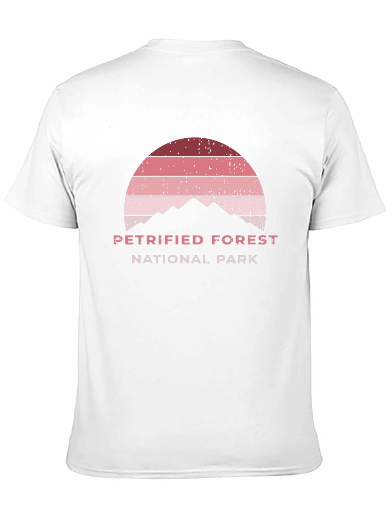 Petrified Forest National Park Black T-Shirt