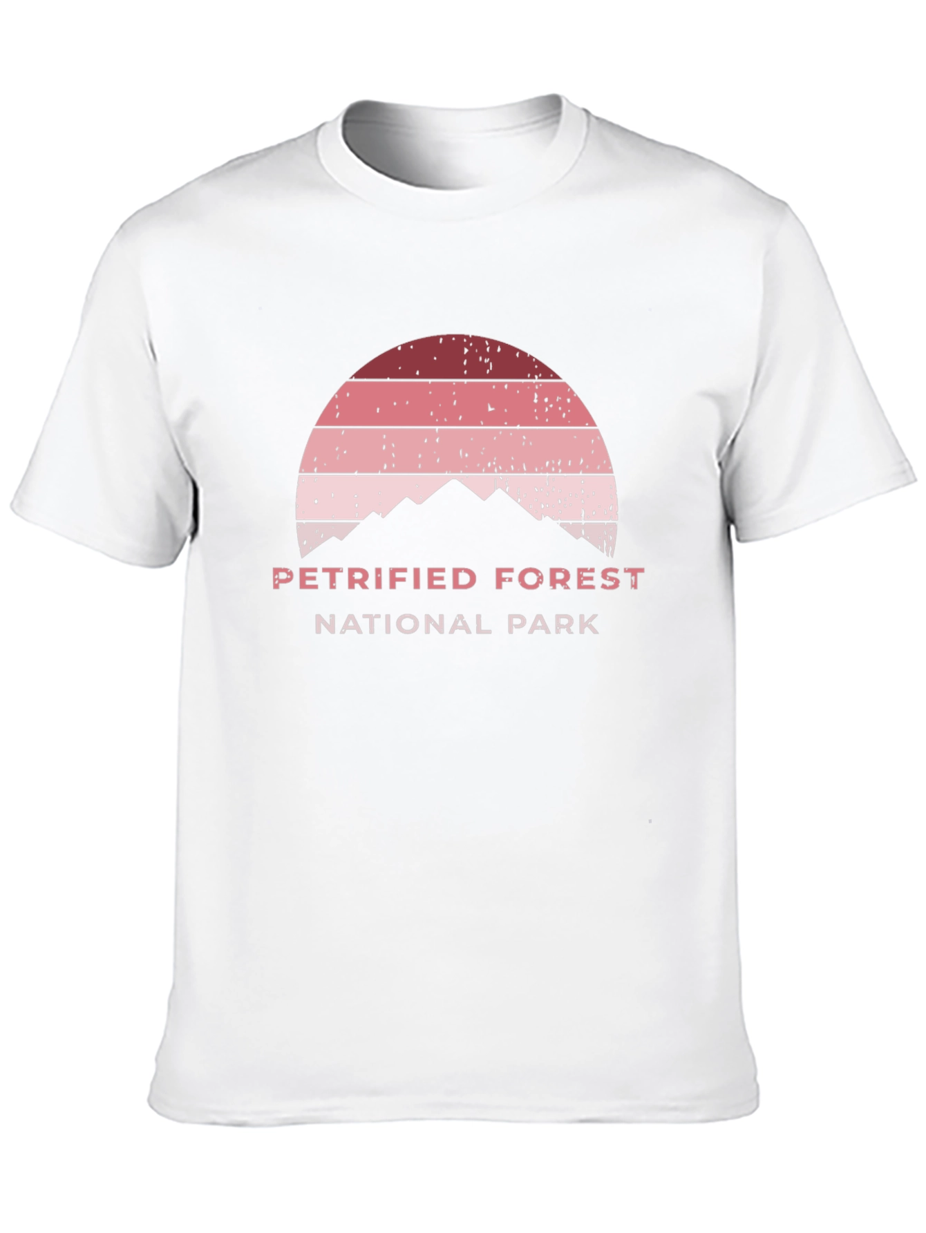 Petrified Forest National Park Black T-Shirt