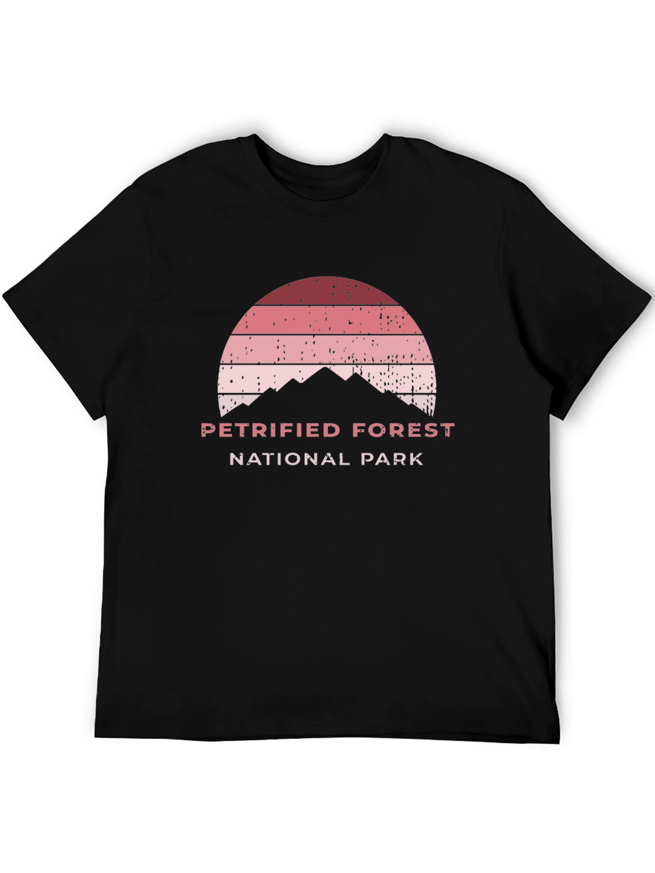 Petrified Forest National Park Black T-Shirt