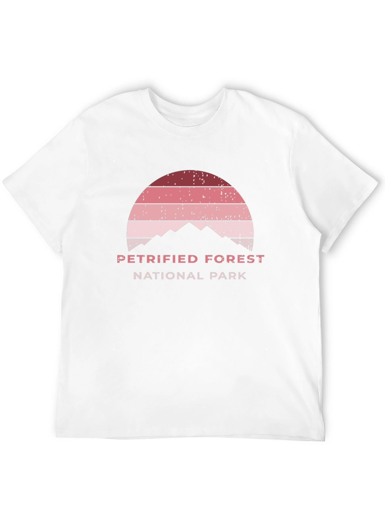 Petrified Forest National Park Black T-Shirt