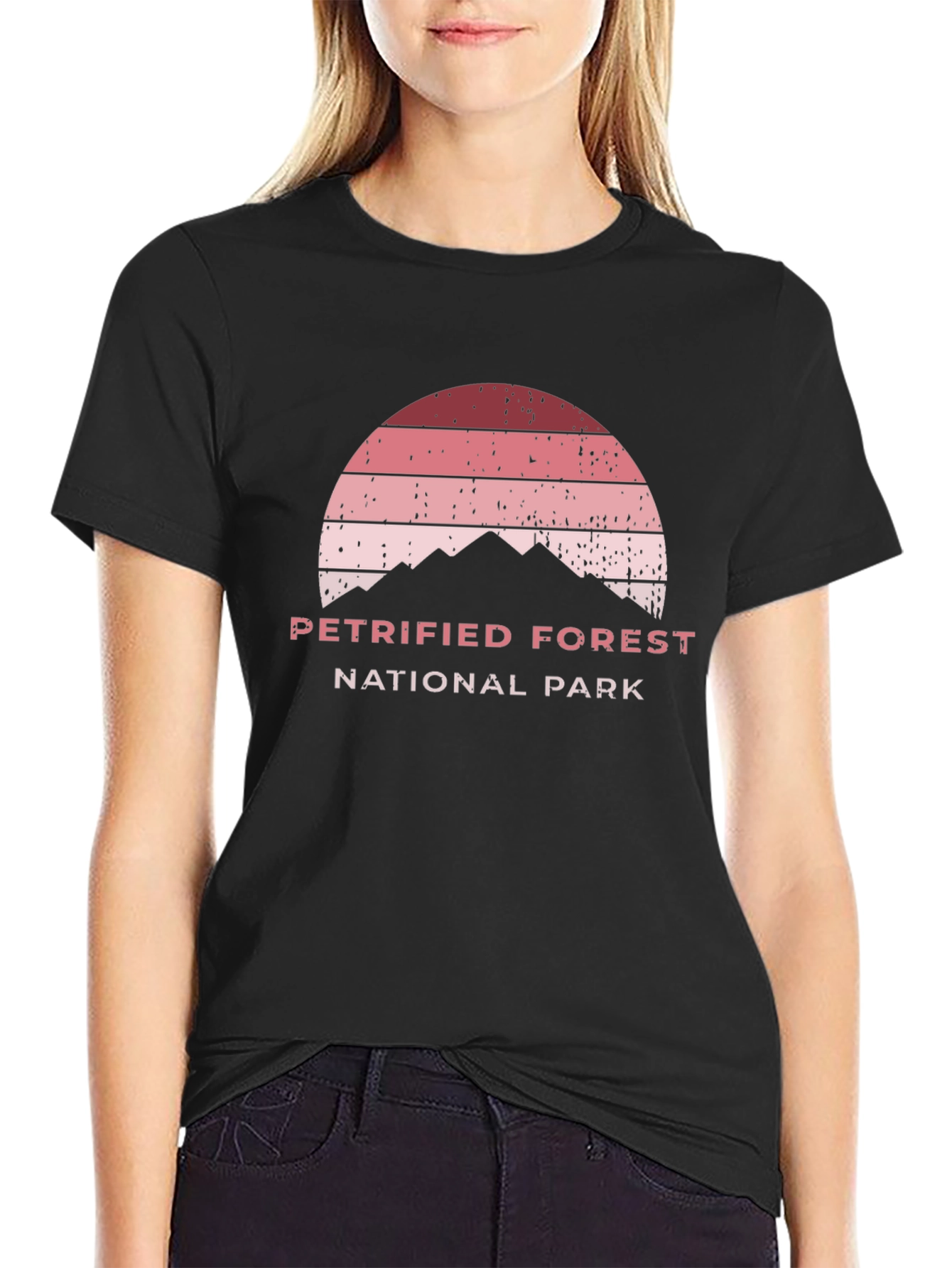 Petrified Forest National Park Black T-Shirt