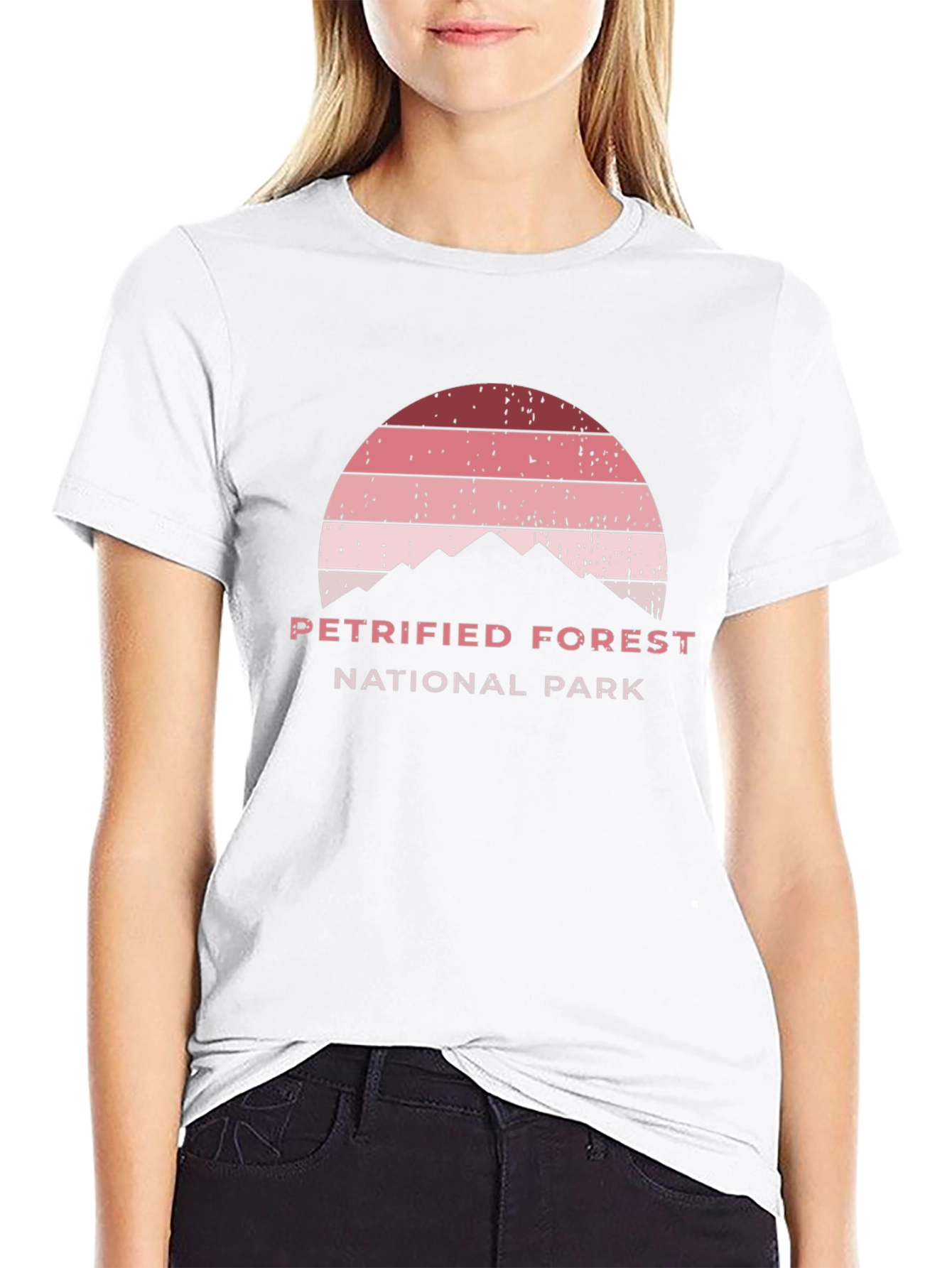 Petrified Forest National Park Black T-Shirt