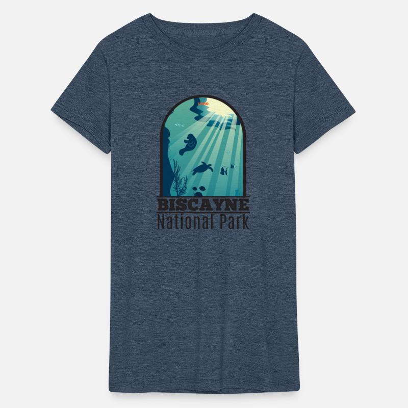 Biscayne National Park Florida Underwater Maritime