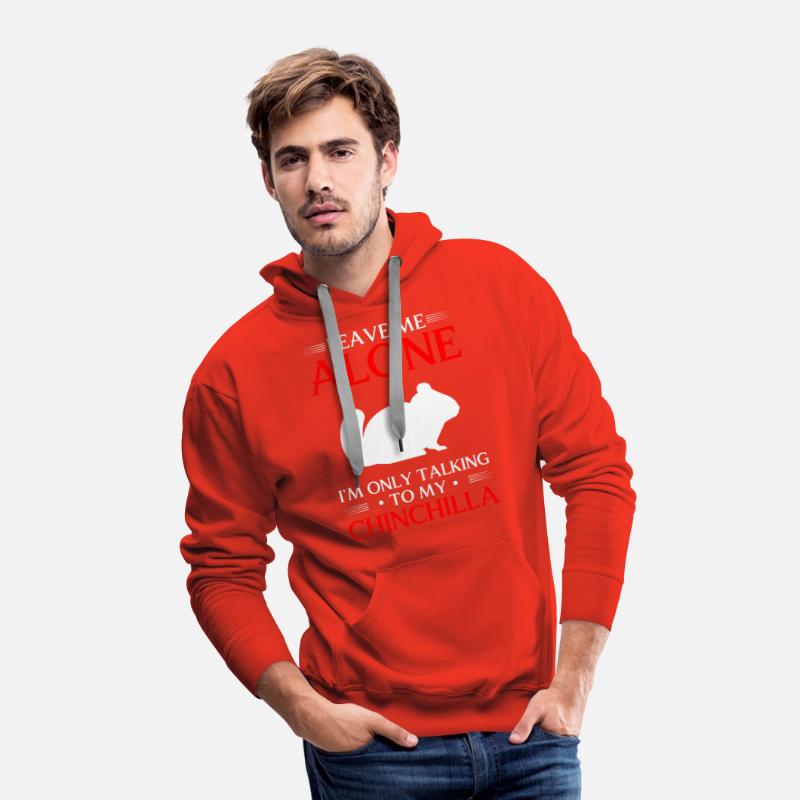 Chinchilla Wilderness Animal Welfare Nature