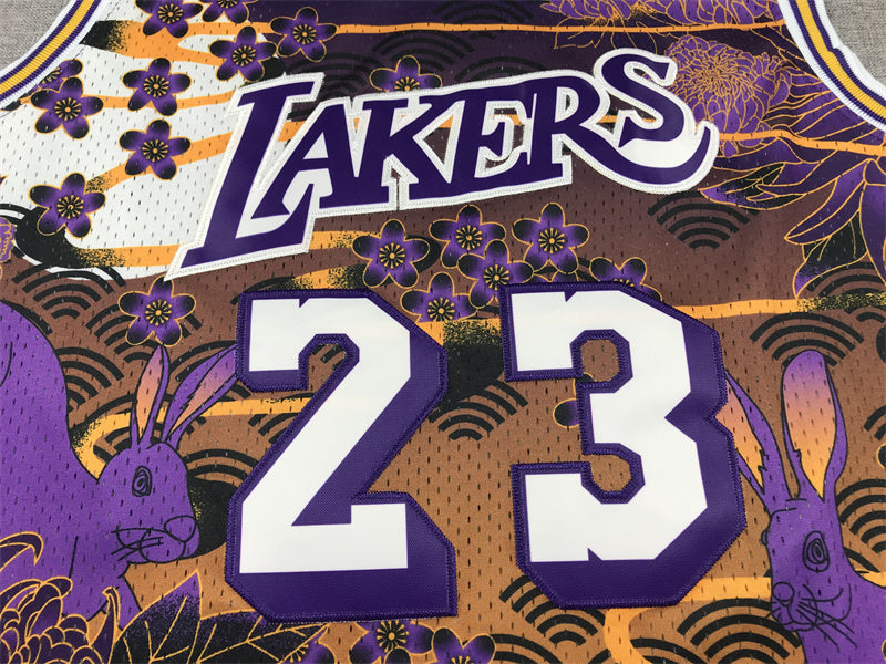 Men's Los Angeles Lakers LeBron James #23 Year of Rabbit Edition Hardwood Classics Swingman Jerseys