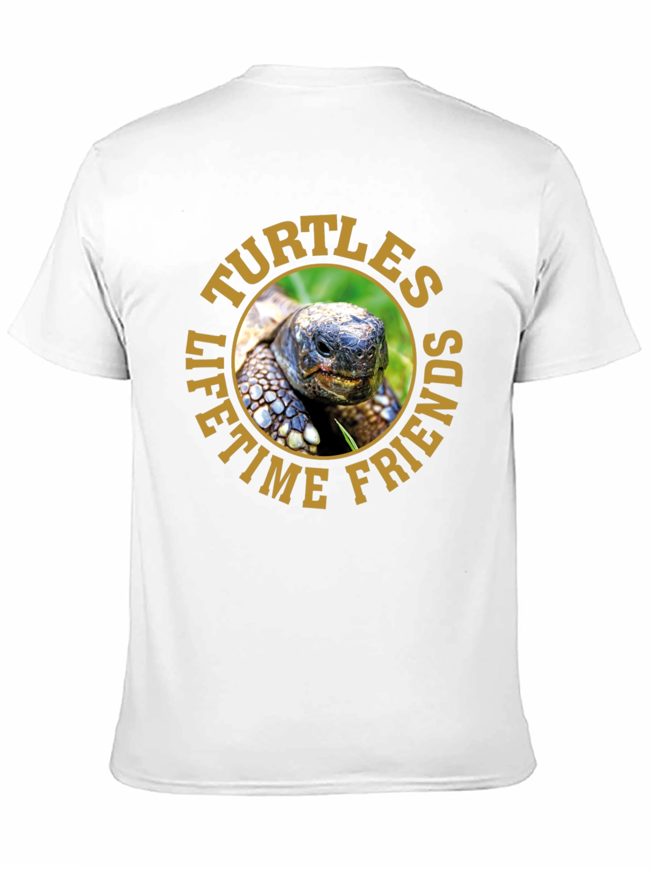 Turtles Lifetime Friends Graphic T-Shirt