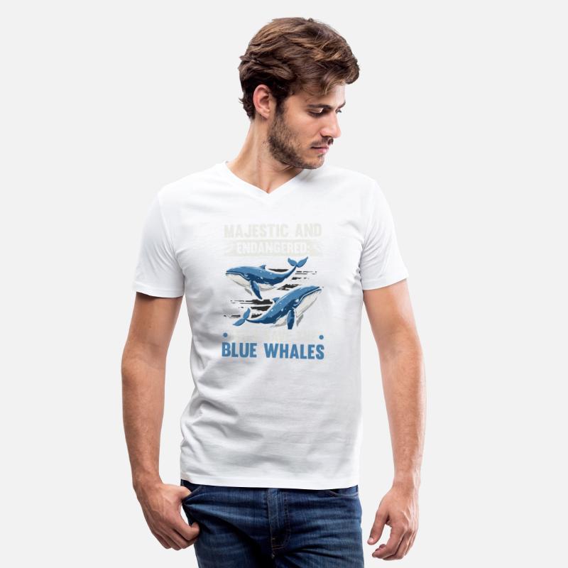 Endangered Species Blue Whale Animal Rights