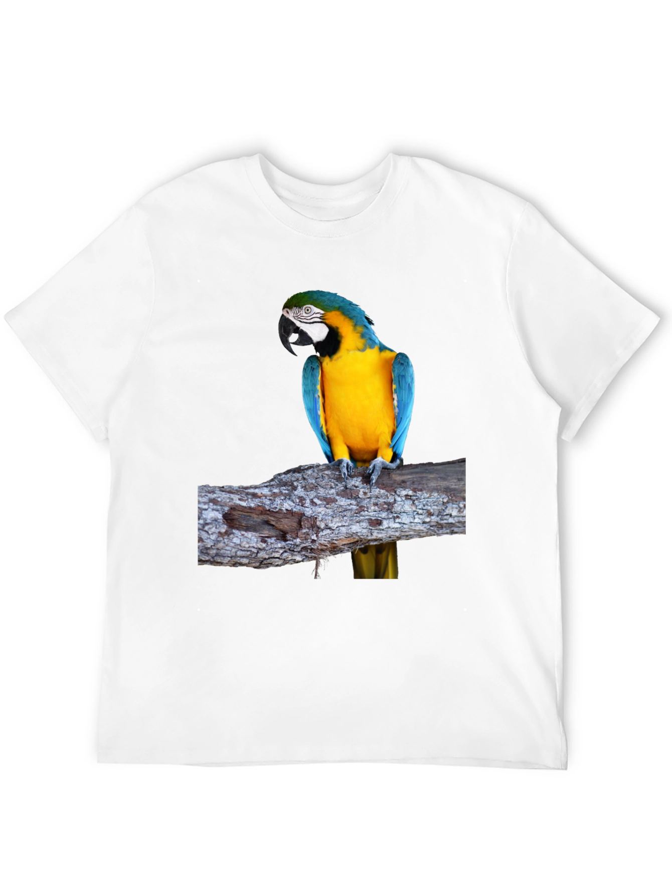 Blue & Gold Macaw Parrot Graphic Tee