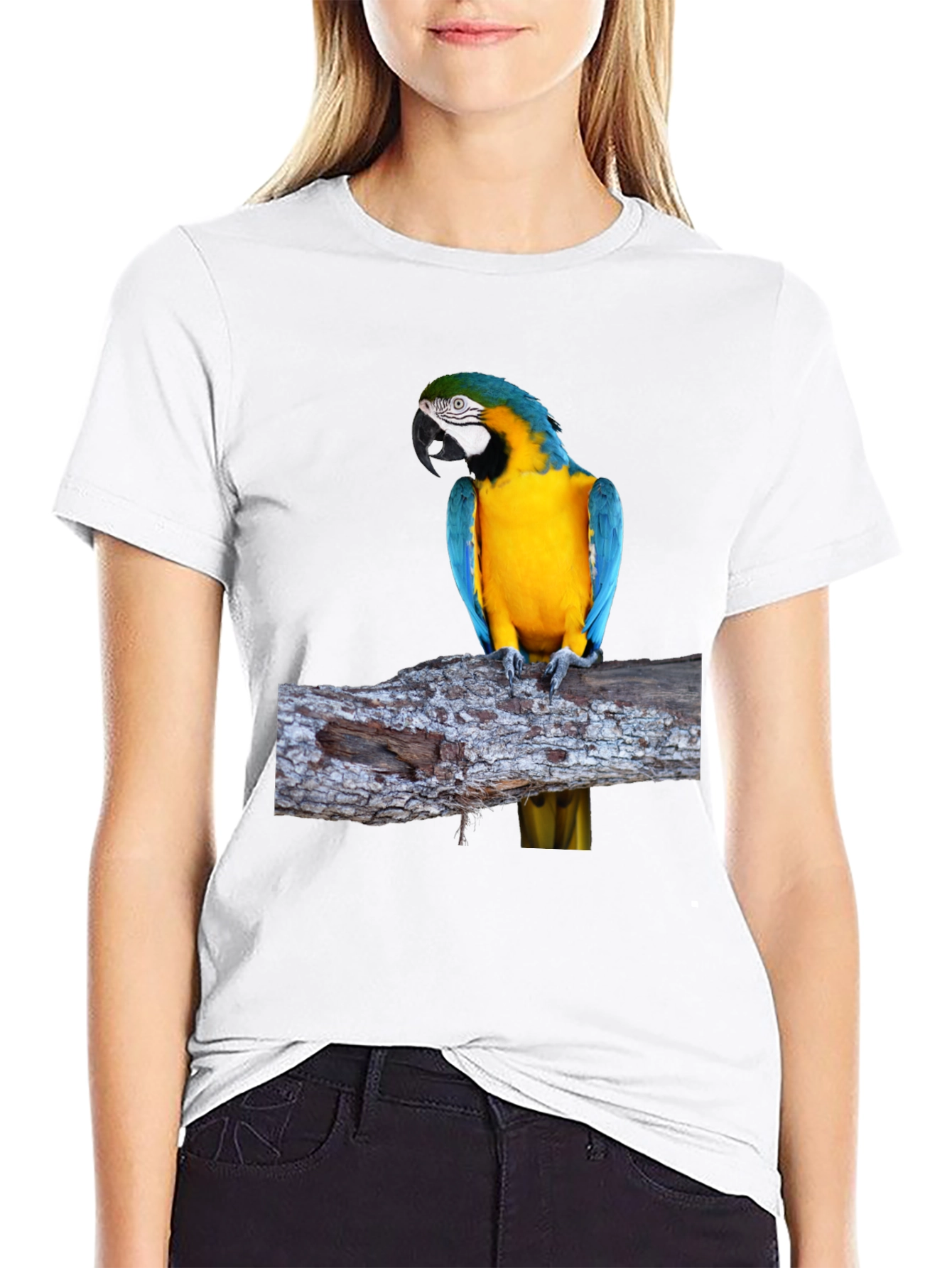 Blue & Gold Macaw Parrot Graphic Tee