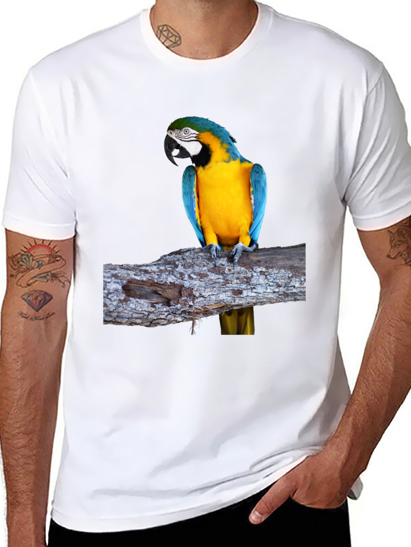 Blue & Gold Macaw Parrot Graphic Tee