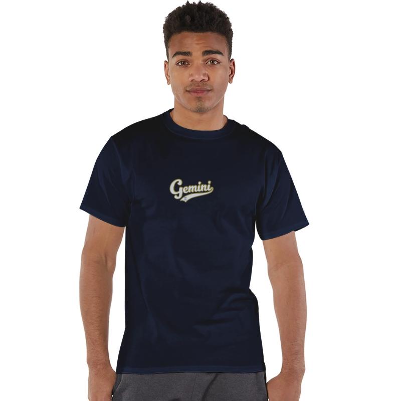 Gemini Baseball Script