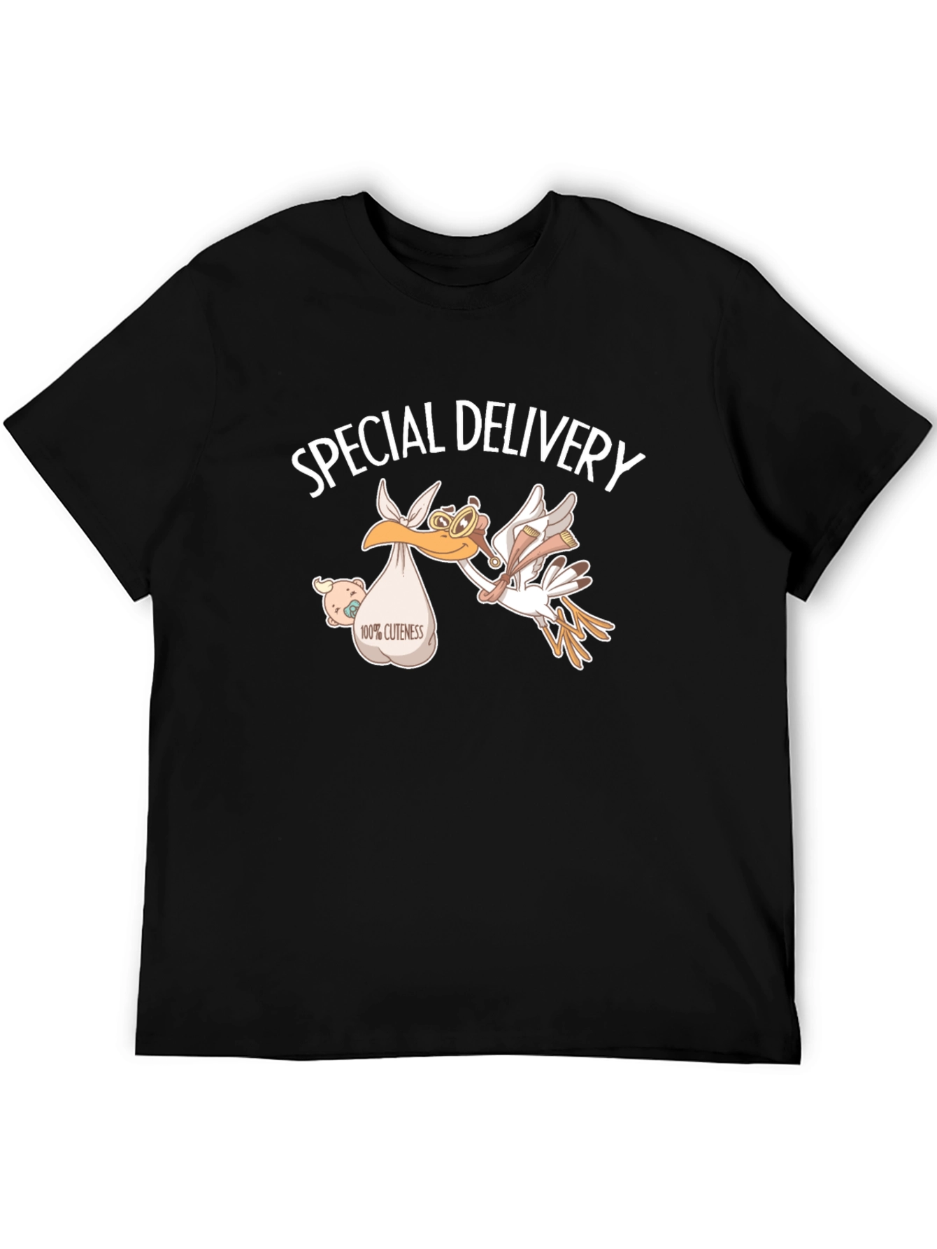 Special Delivery Stork T-Shirt