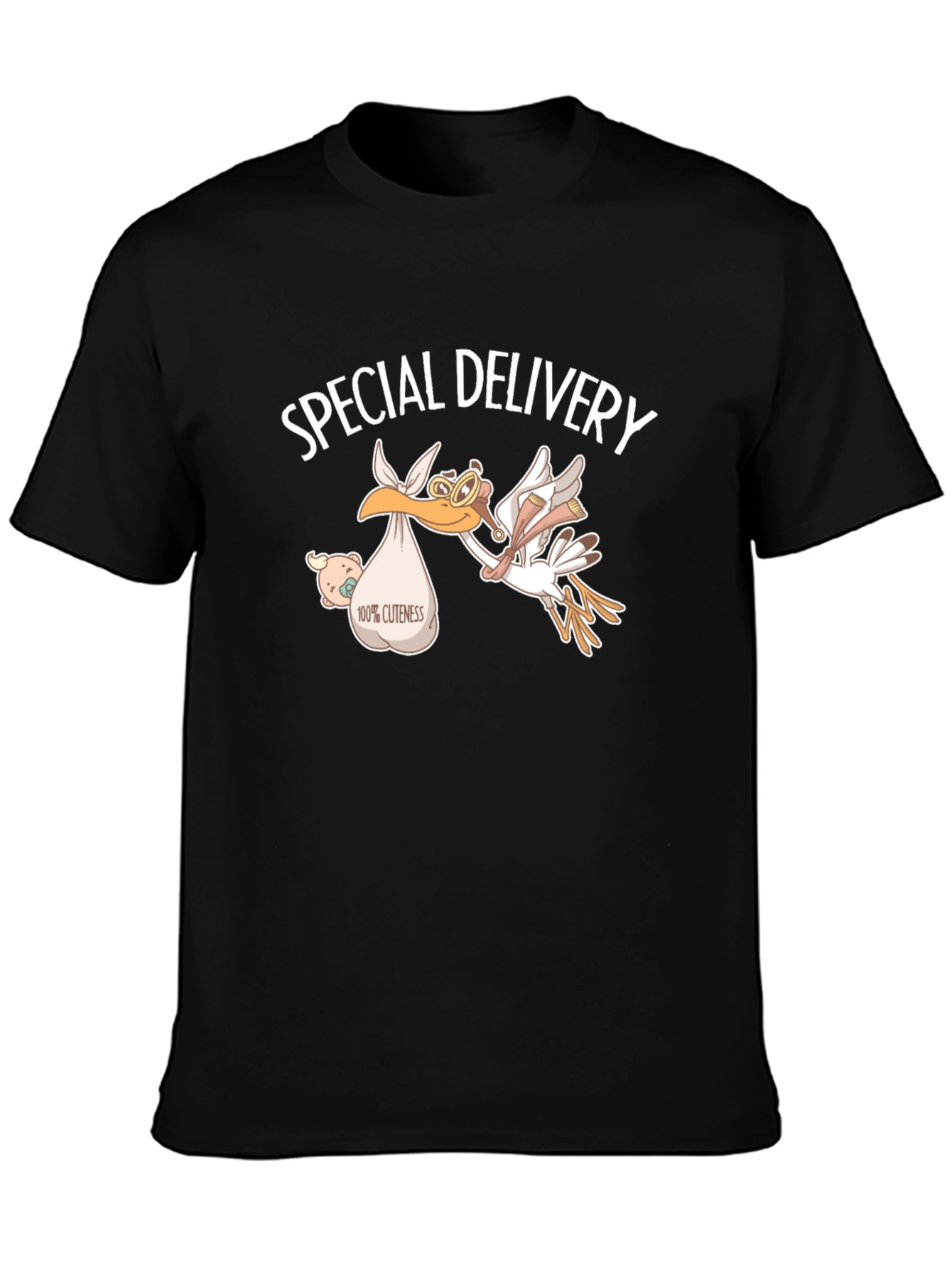 Special Delivery Stork T-Shirt