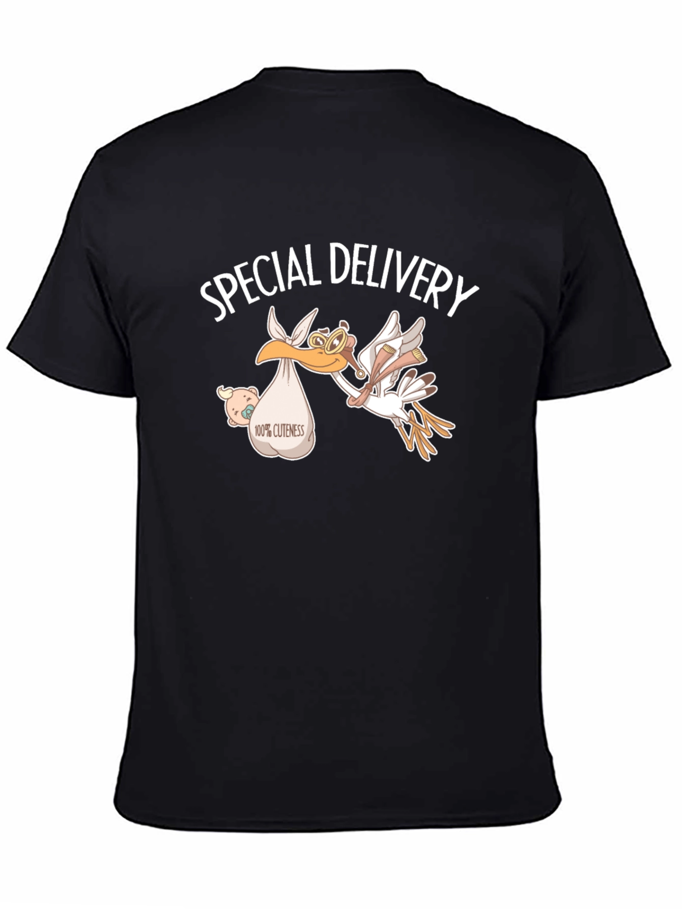 Special Delivery Stork T-Shirt