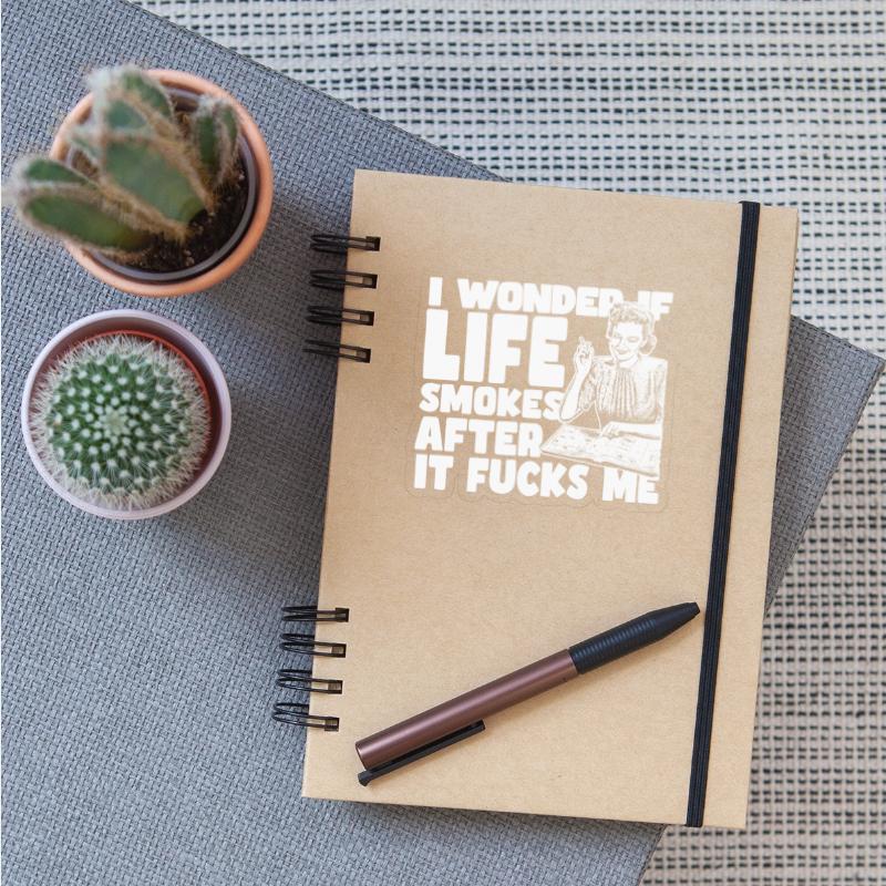I Wonder if Life Smokes After It Fcks Me