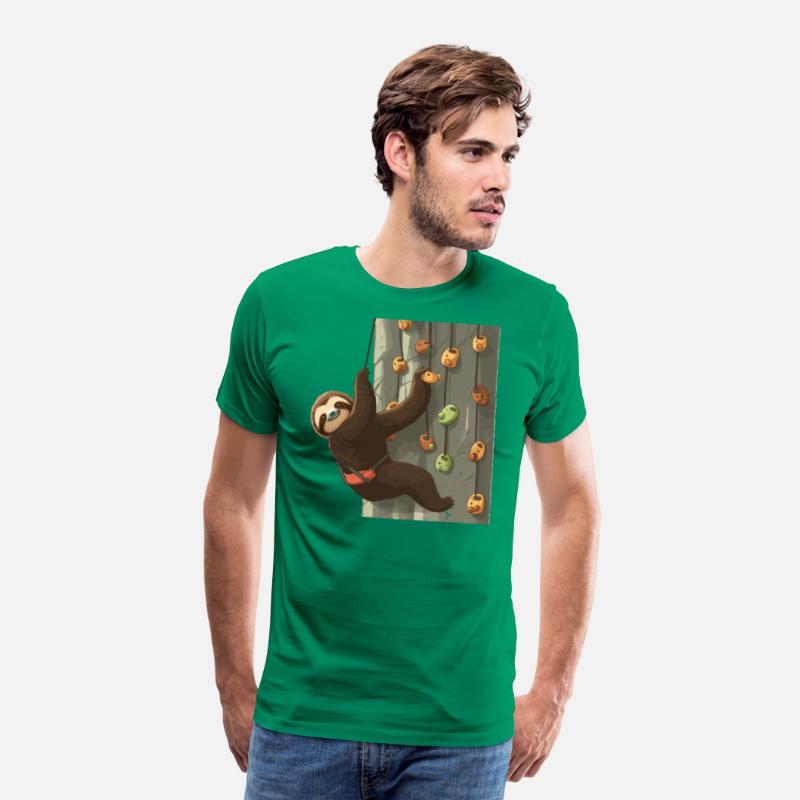 Indoor Rock Climbing Wall Boulderer Bouldering
