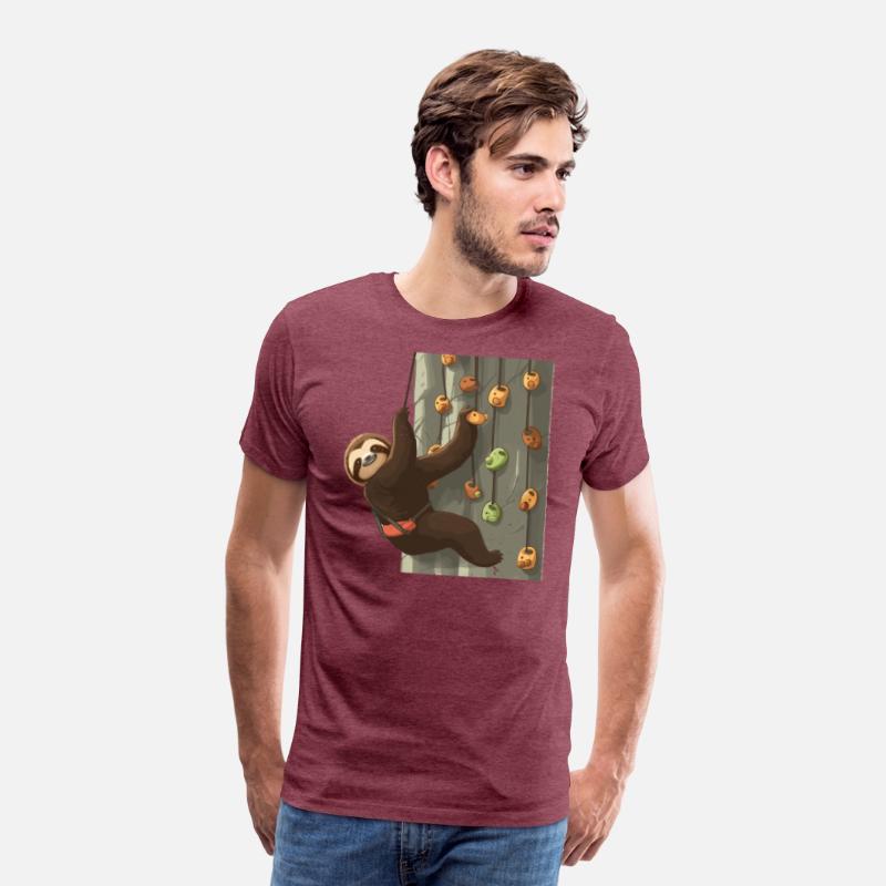 Indoor Rock Climbing Wall Boulderer Bouldering