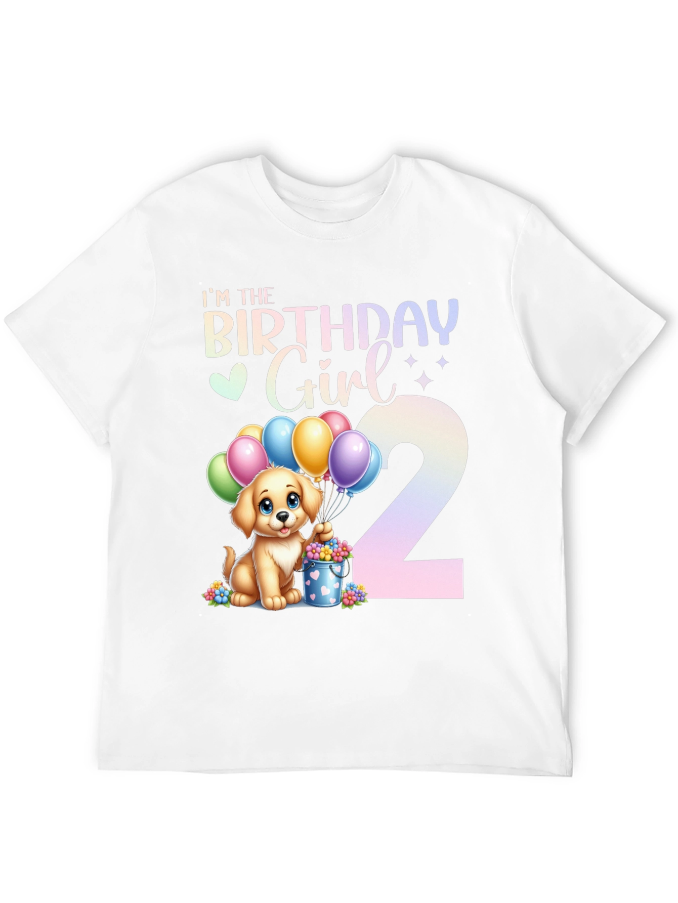 Birthday Girl 2nd Birthday T-Shirt