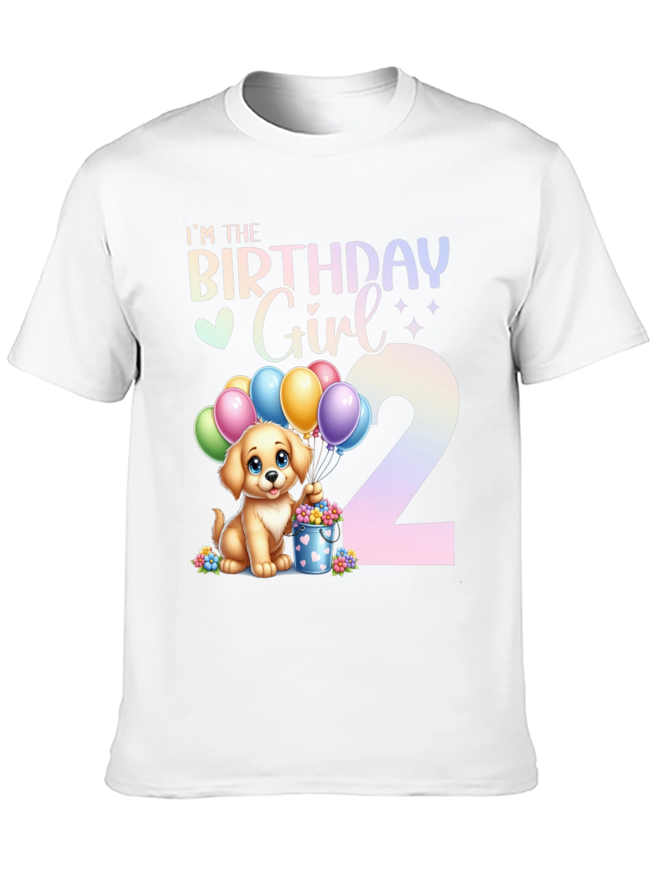 Birthday Girl 2nd Birthday T-Shirt