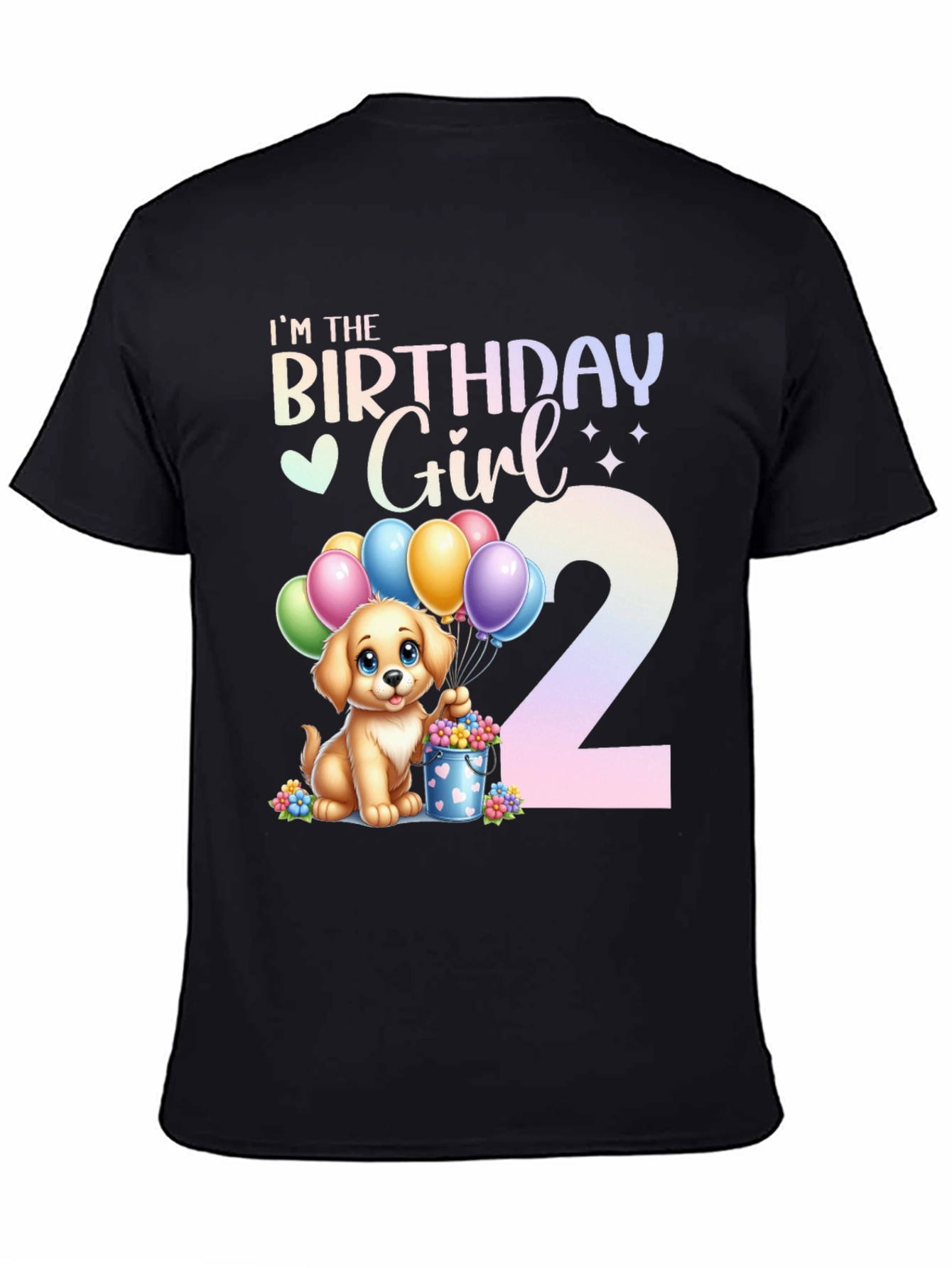 Birthday Girl 2nd Birthday T-Shirt