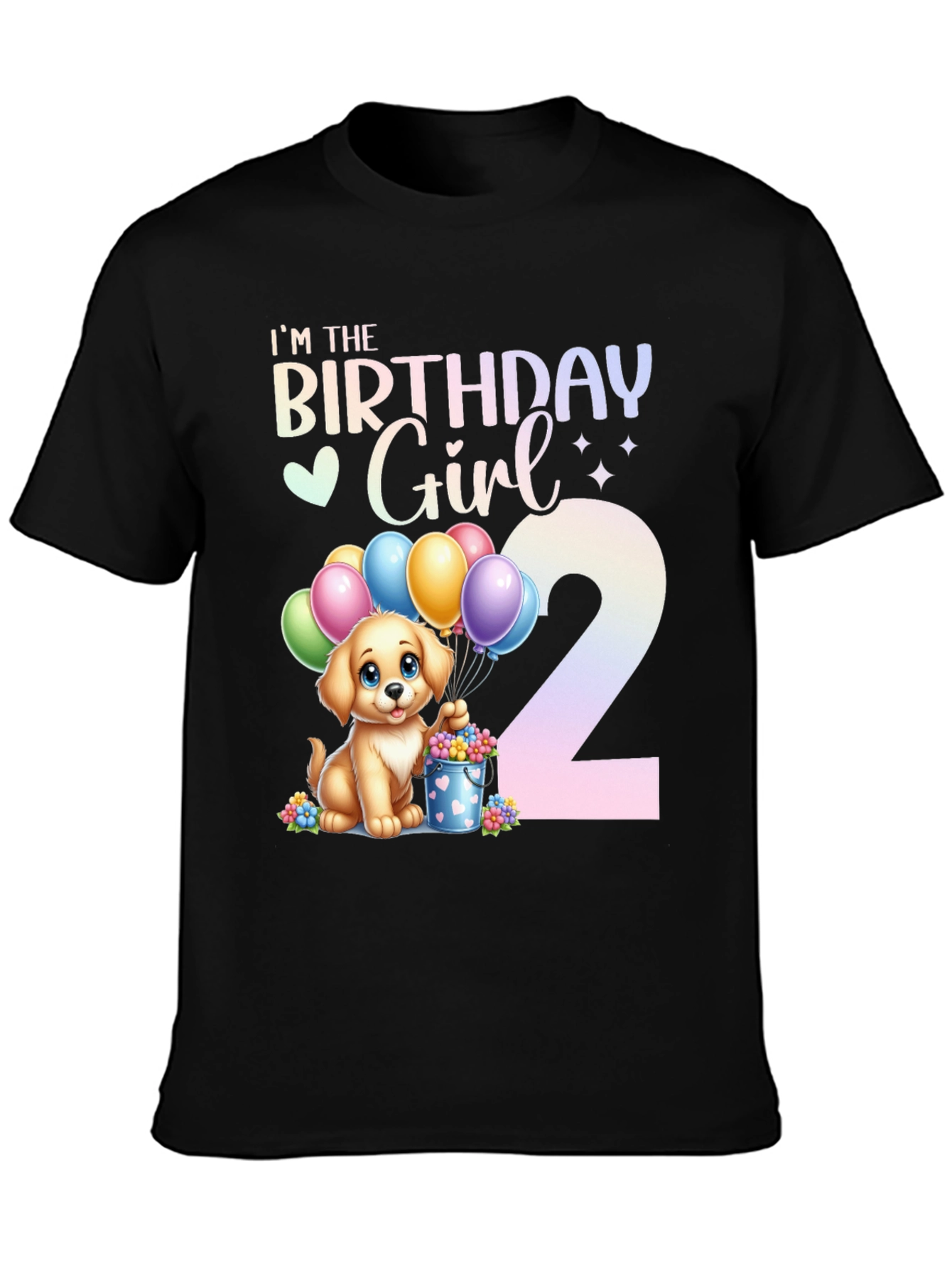 Birthday Girl 2nd Birthday T-Shirt