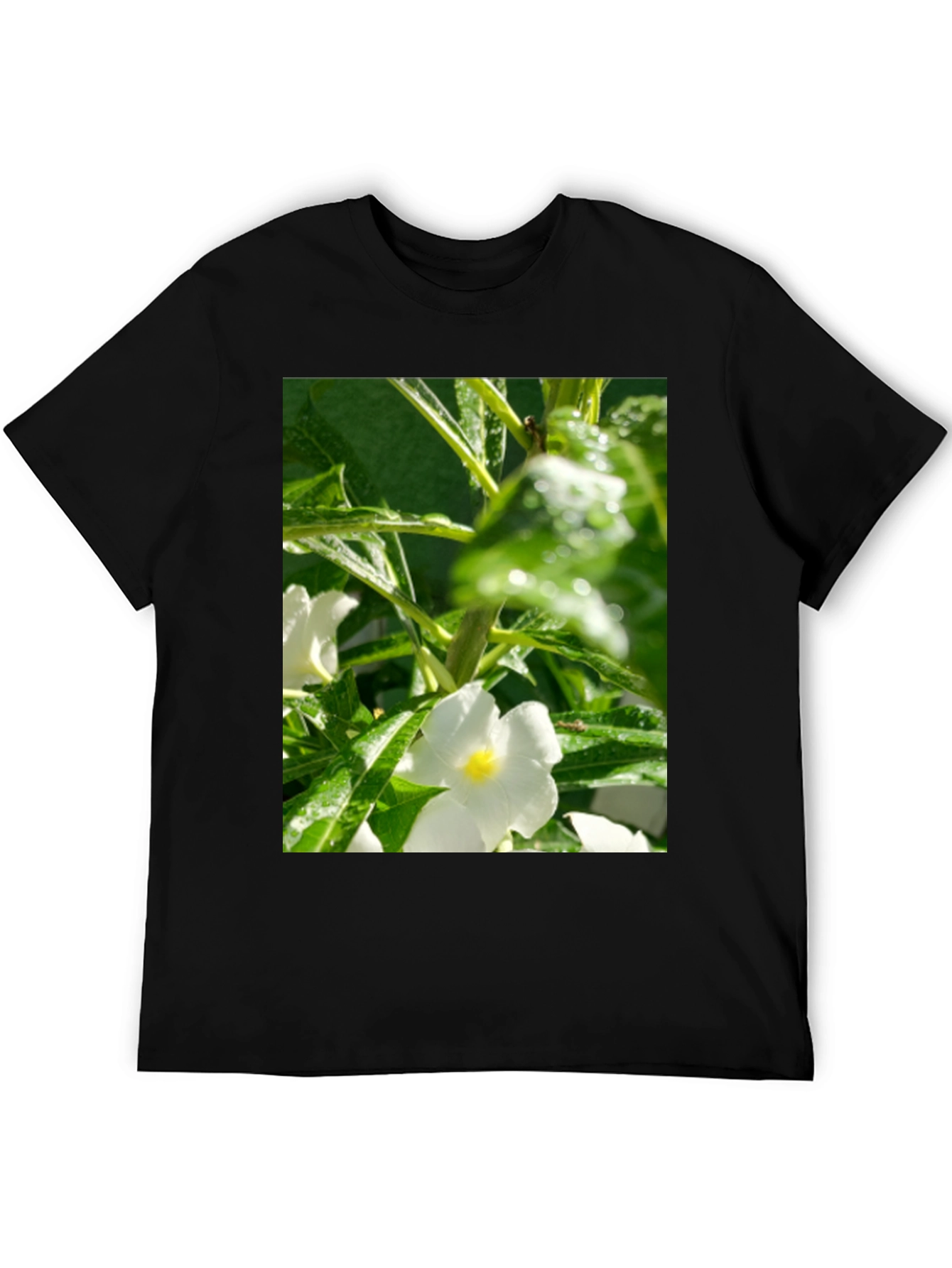 Floral Print T-Shirt: Fresh & Stylish